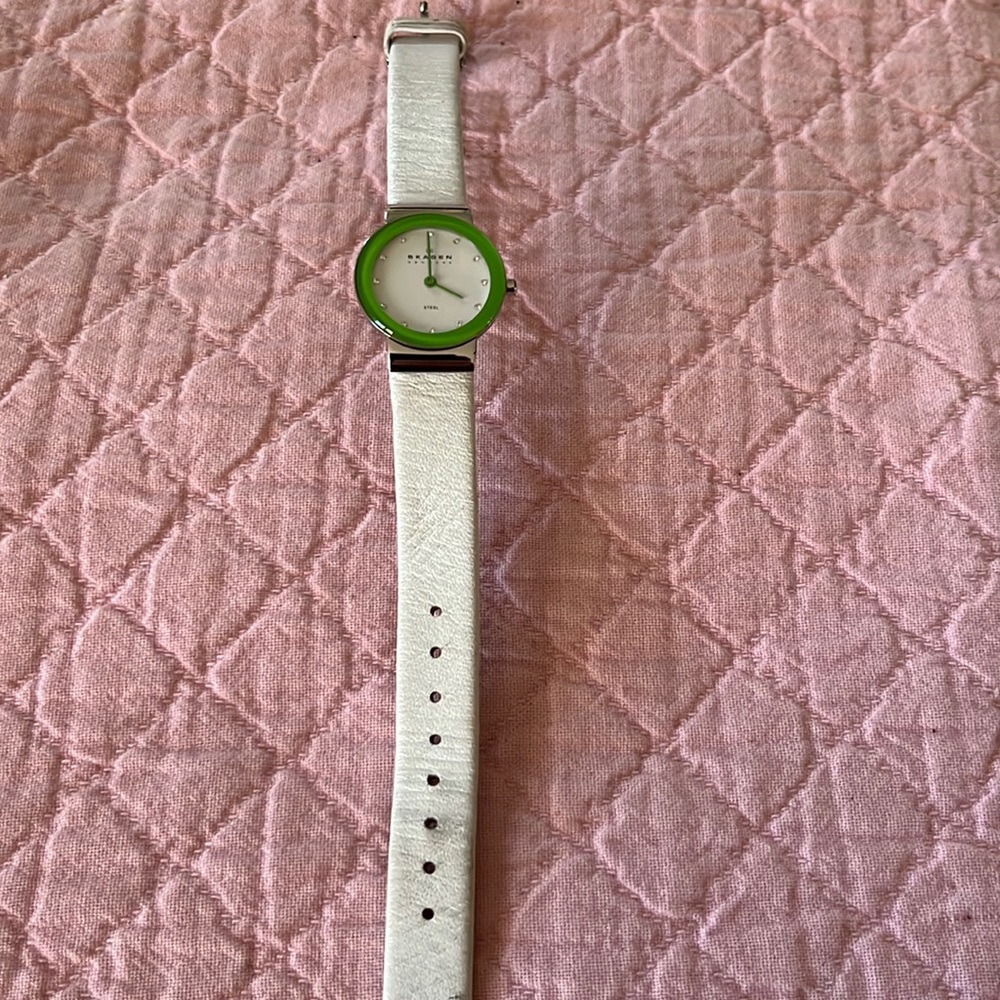 Skagen watch with green face